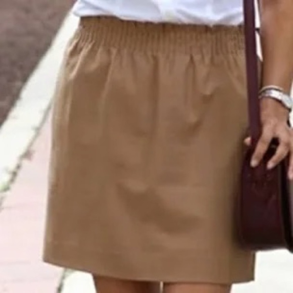 J. Crew Factory skirt